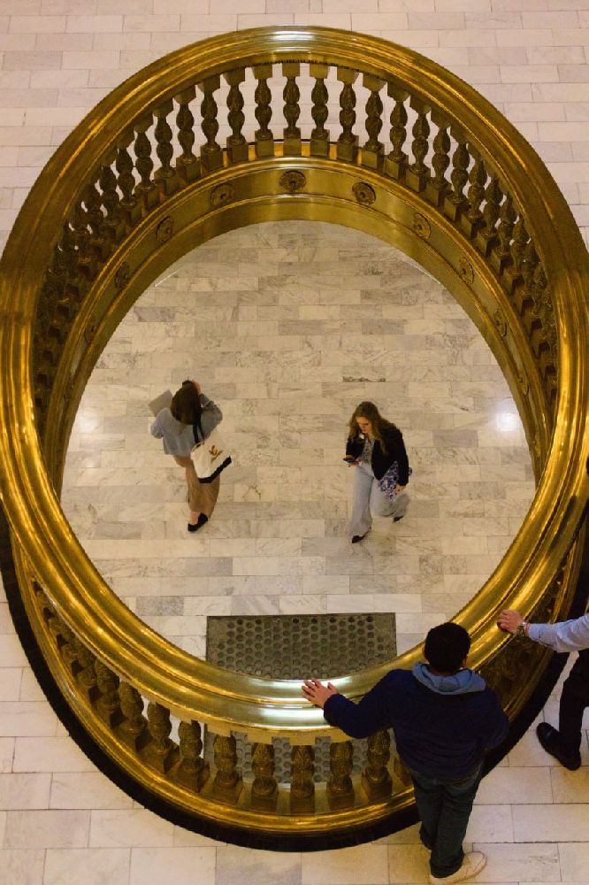 Photography contest submission by veillax - January 31 2026