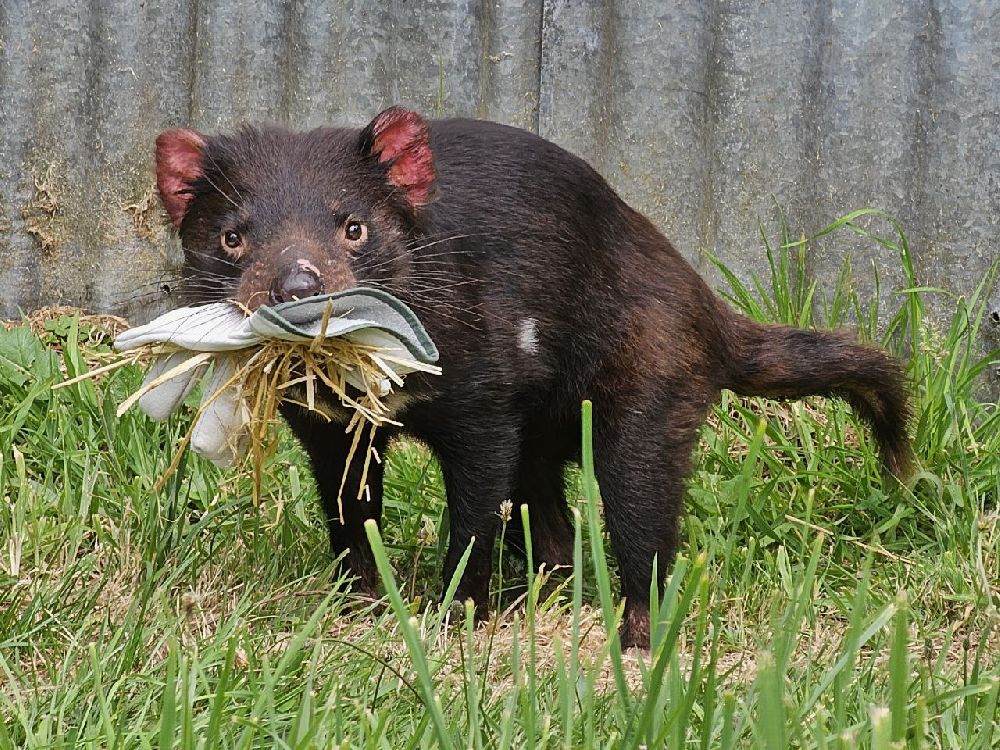 Photography contest winner by Furrhan - January 2026