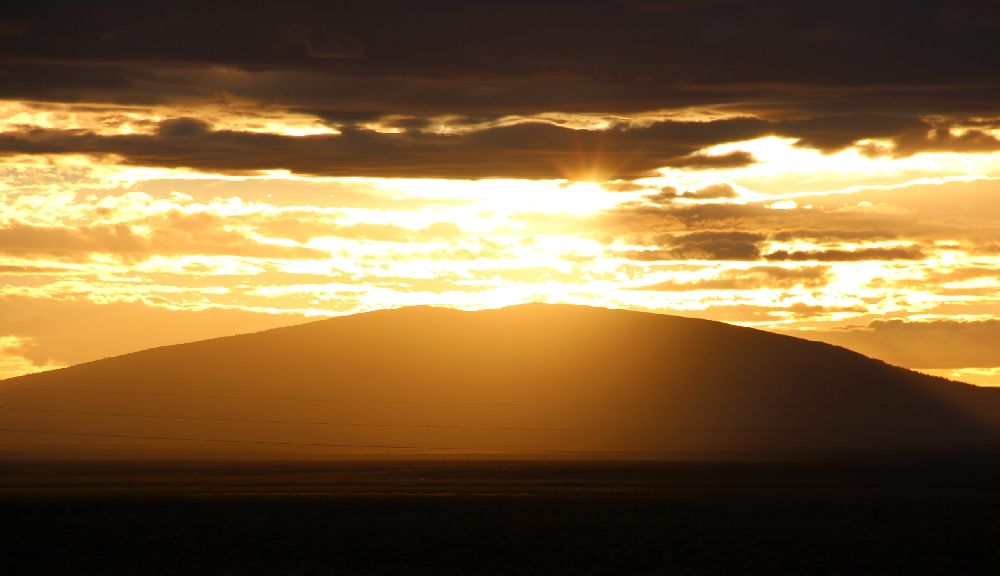 Photography contest winner by JojoWolfcat - November 2025