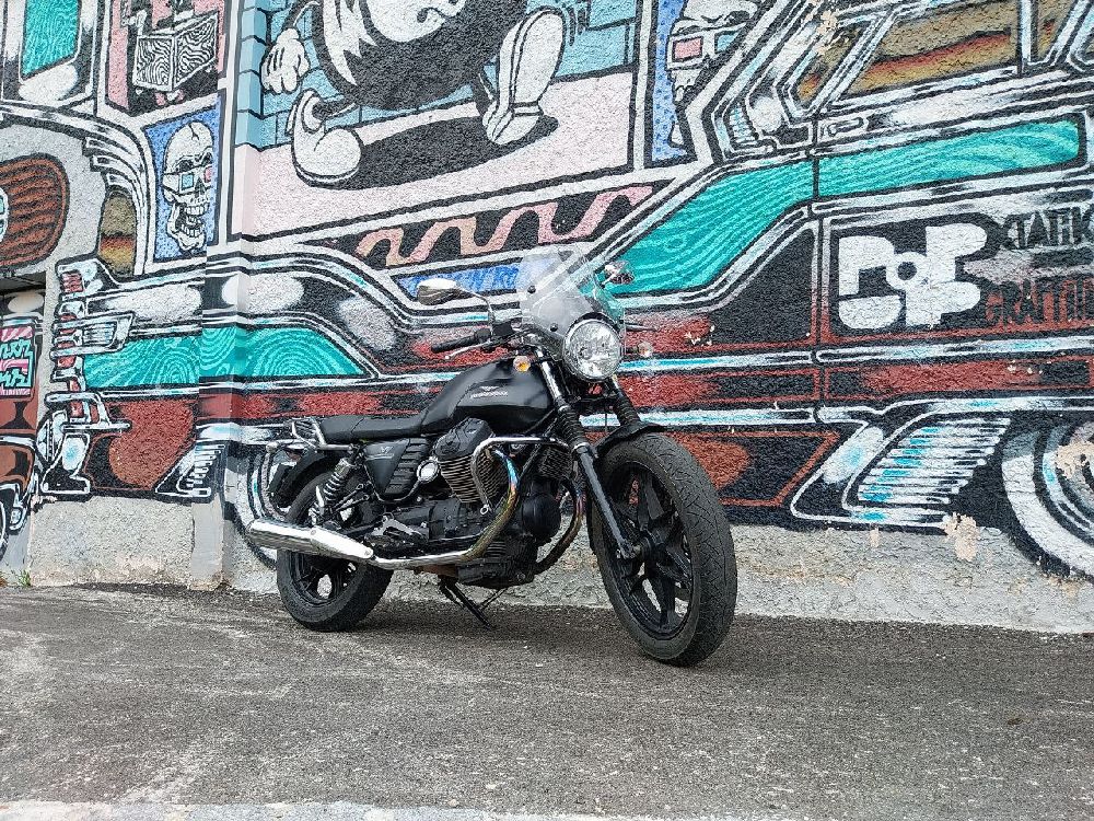 Photography contest winner by cloacatastrophe - September 2025